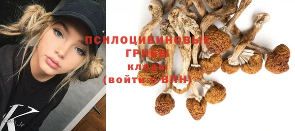 дурь Абинск