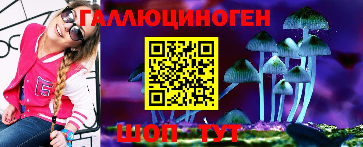 хочу   Вход с VPN  Зеленокумск  Галлюциногенные грибы прущие грибы  Псилоцибиновые грибы MAGIC MUSHROOMS 