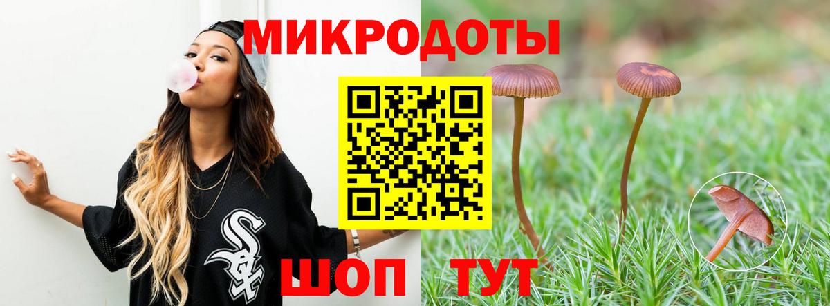 Псилоцибиновые грибы Psilocybe Зеленокумск